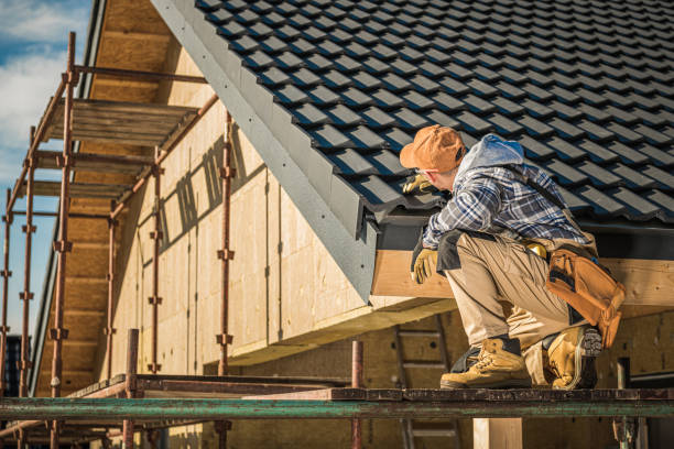 Best Roof Repair Services  in Aventura, FL